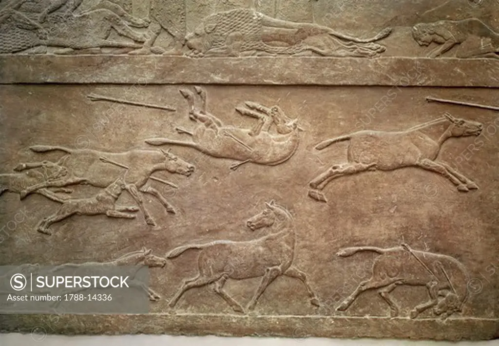Assyrian relief from Niniveh,Iraq, depicting the hunting on horses