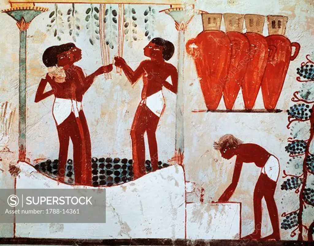 Egypt, Thebes, Sheikh Abd el-Qurna, frescos from Nakht's tomb, detail, Grape picking, New Kingdom, Dynasty XVIII