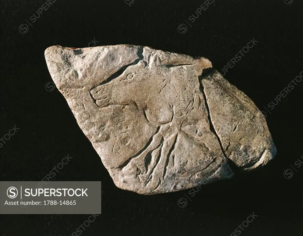 Paleolithic stone relief with figure of reindeer dating to Upper Magdalenian period