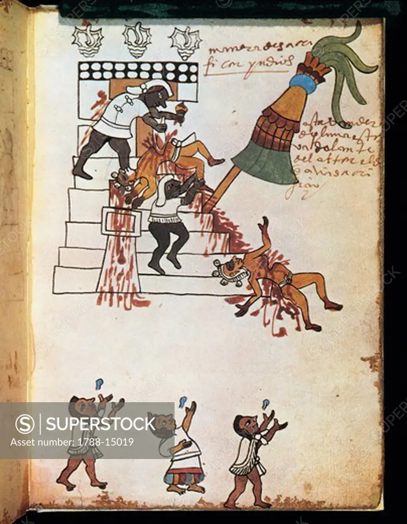 Mexico. Facsimile of 'Codex Tudela' manuscript. Illustration of Indians making human sacrifices