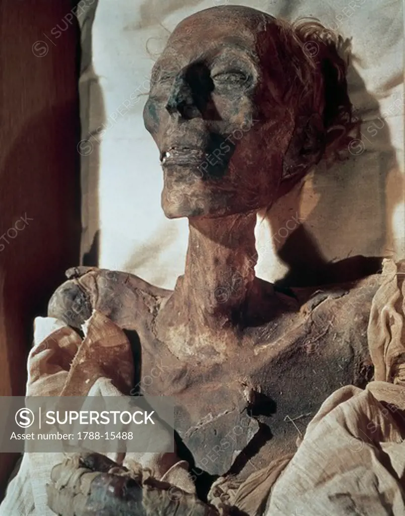 Egyptian civilization. Mummy of Pharaoh Ramses II from Thebes