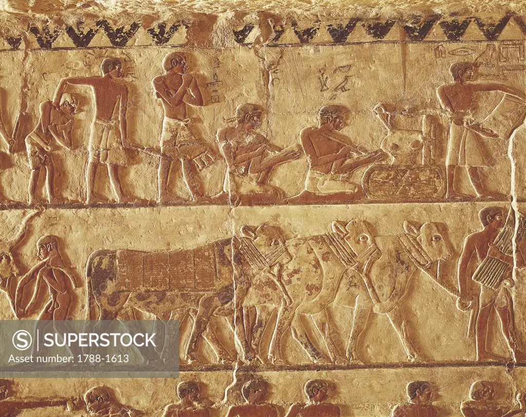 Egypt - Cairo - Ancient Memphis (UNESCO World Heritage List, 1979). Saqqara. Necropolis. Private tomb of Nefer and Ka Hay, 5th Dynasty. Painted relief of scribes, accountants and herd of cattle