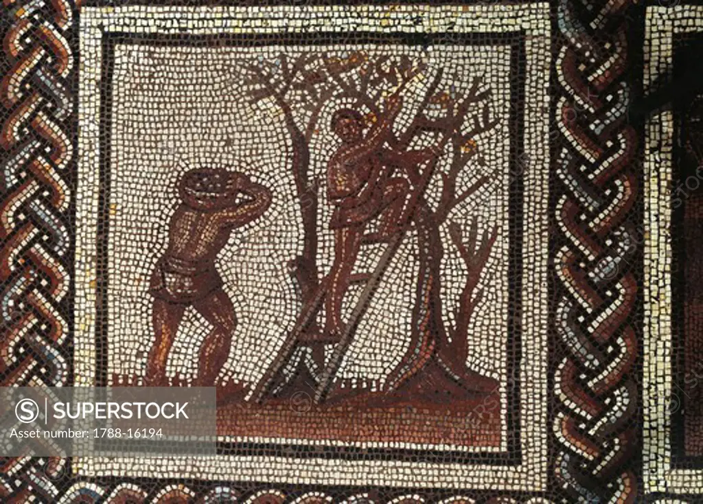 Mosaic representing apple picking