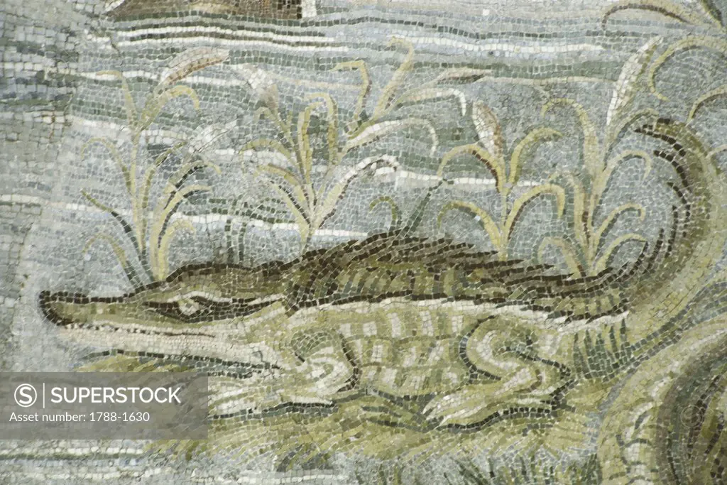 Italy - Latium region - Palestrina (Rome Province) - 1st century b.C. - Sillian age. Crocodile, mosaic
