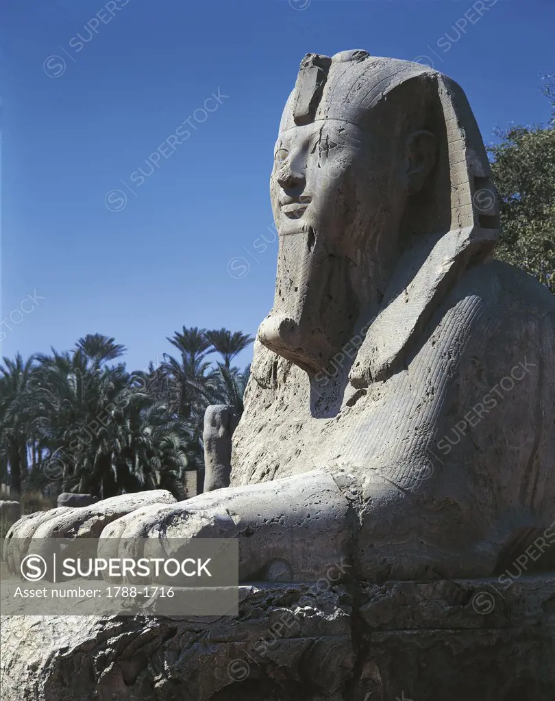 Egypt - Cairo - Ancient Memphis (UNESCO World Heritage List, 1979). Alabaster sphinx. Amenophis II, 18th Dynasty (1391-1353 BC)