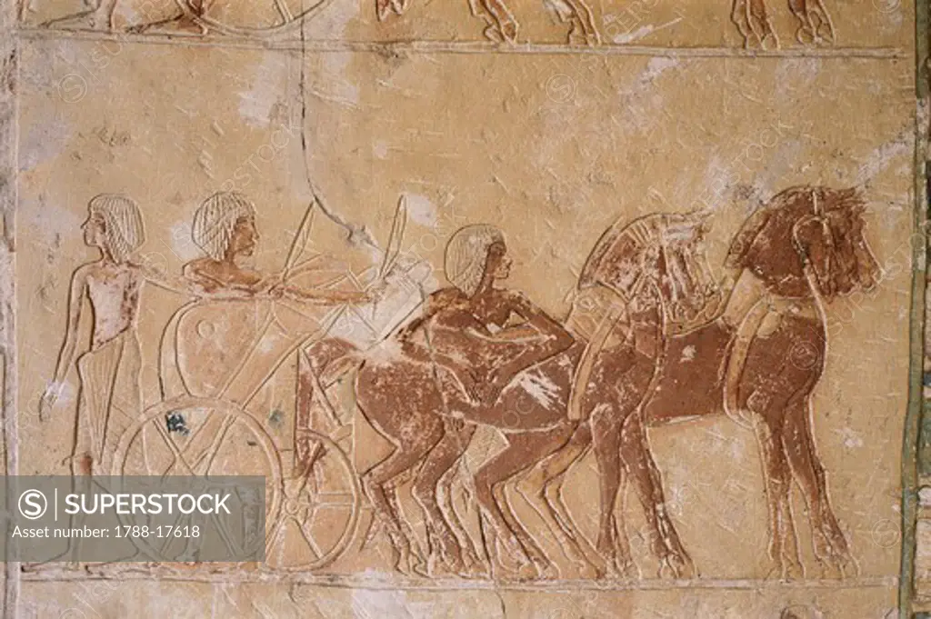 Egypt, Cairo, Ancient Memphis, Saqqara necropolis, painted relief's in Tomb of Horemheb