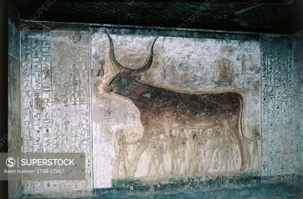 Egypt, Luxor, Valley of the Kings, Tomb of Seti I, interior frescoes depicting goddess Nut as cow