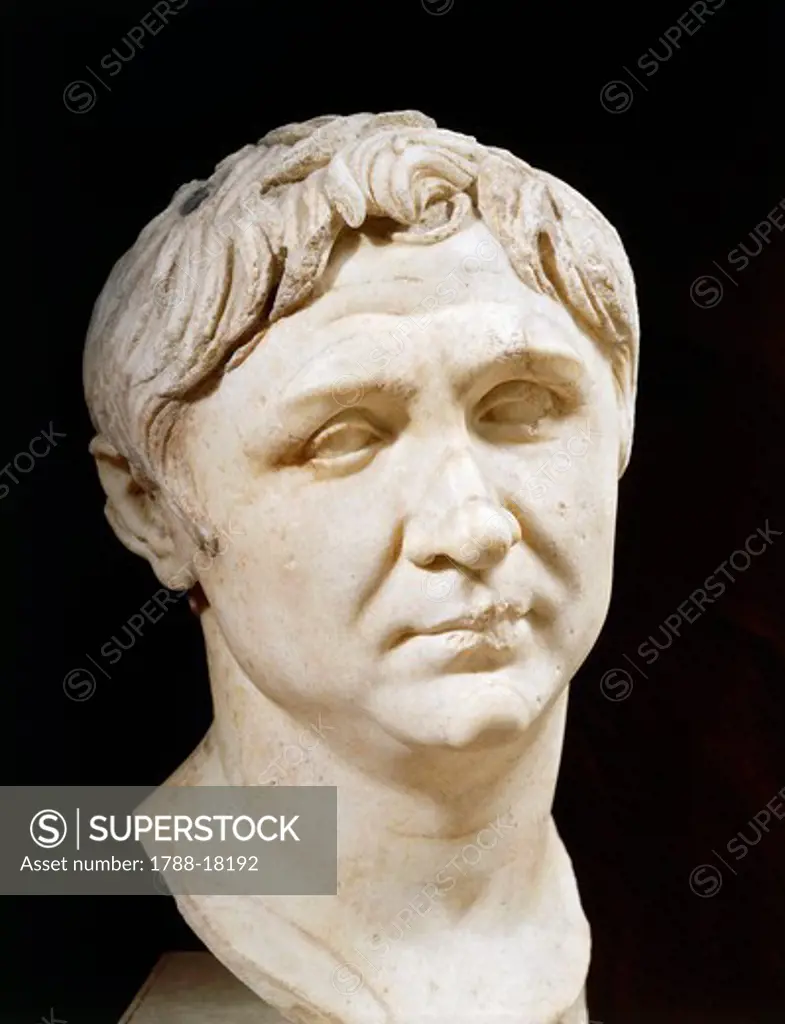 Marble bust of Pompey