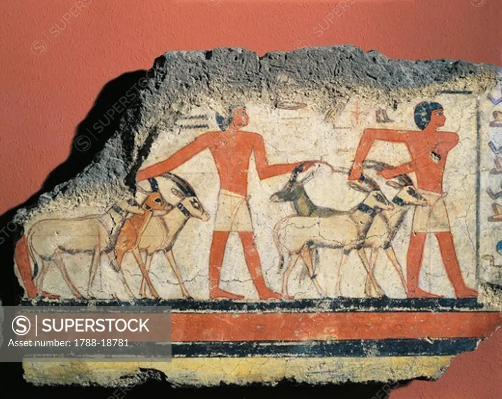 Fragment of wall painting depicting oryx and gazelle hunt in desert, from the tomb of Metchetchi at Saqqara