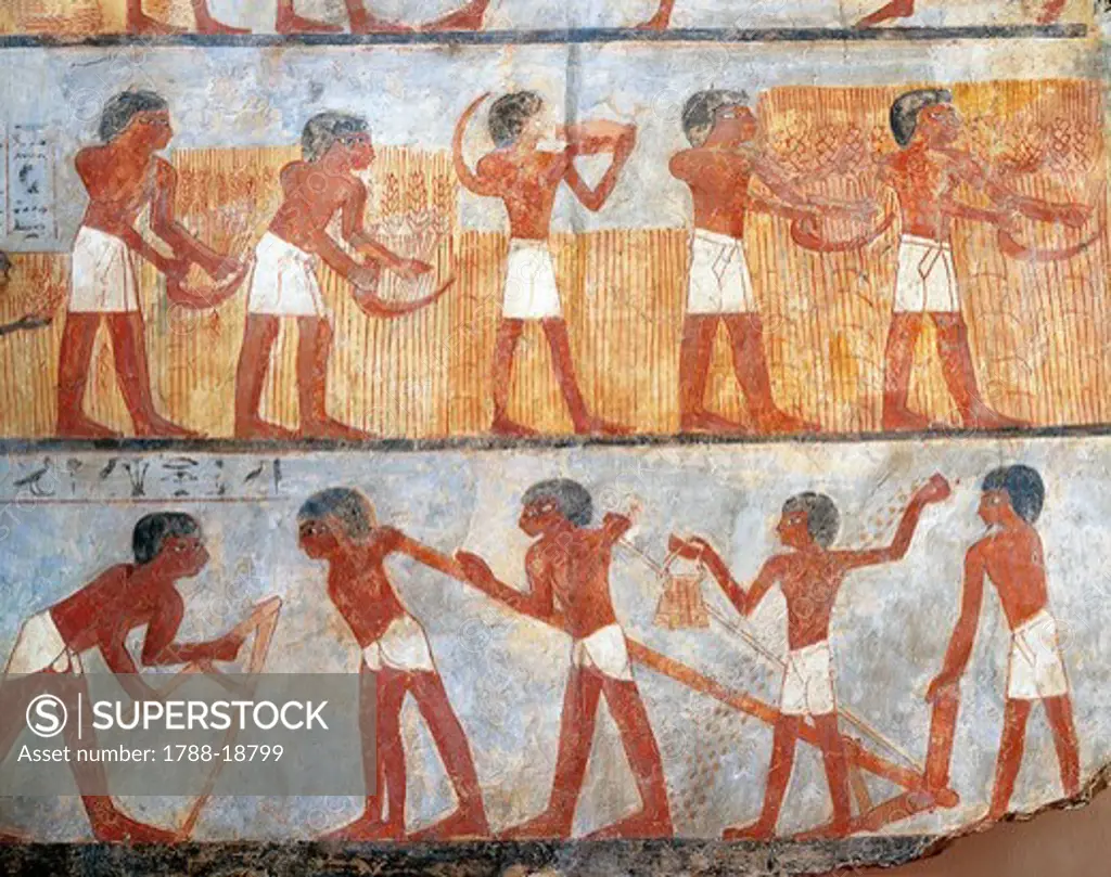 Wall painting depicting sowing and harvesting scene, from the tomb of Onsu at west Thebes, close-up