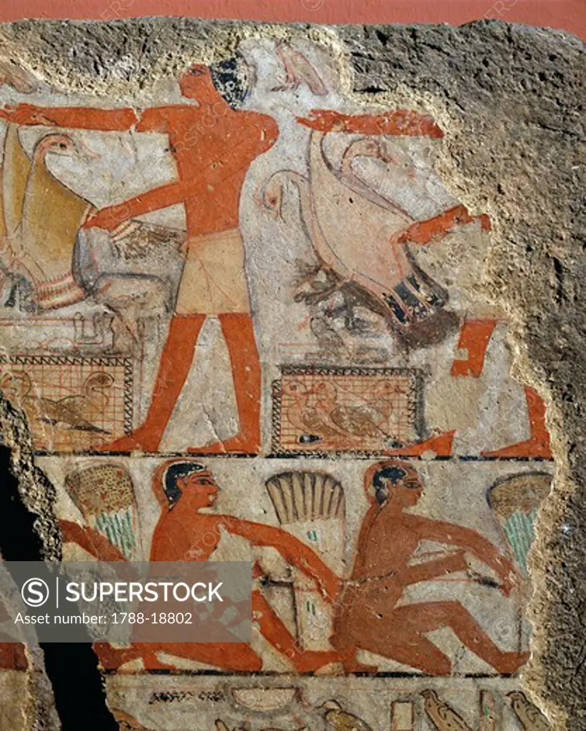 Painting depicting bird hunting, from Tomb of Metchetchi at Saqqara, detail