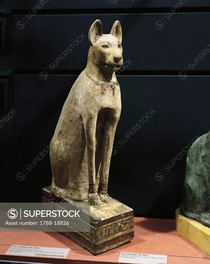 Plastered and painted wood sarcophagus of cat