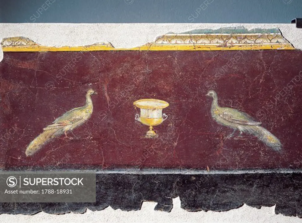 Wall base of gallery T, northern wall. Third style decoration depicting figures of birds and vases detail from the river port of San Paolo, fraction of Pietro Papa (Rome), fresco