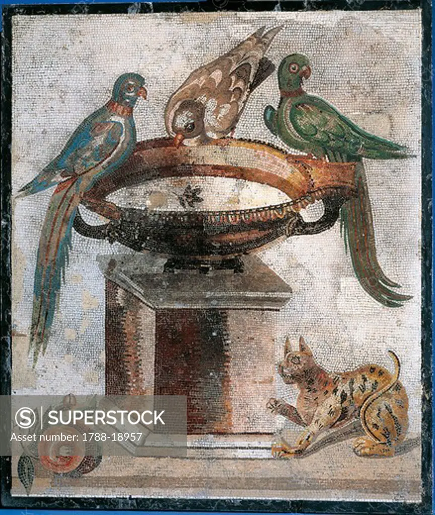 Mosaic depicting birds on basin and panther from Italy, Bay of Naples, Caserta, Santa Maria Capua Vetere, 80-60 B.C.