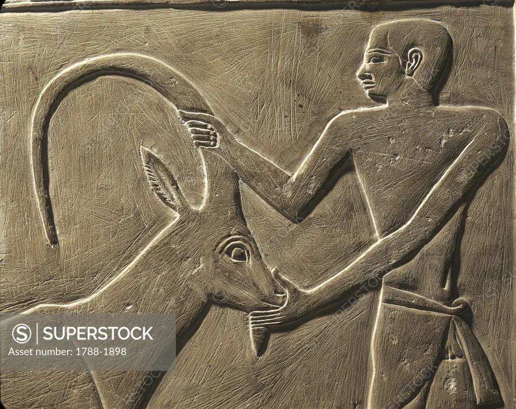Egyptian civilisation. Relief of man and antelope