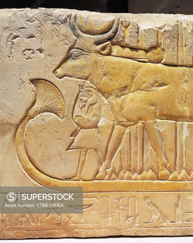 Limestone relief depicting Ramses II under the protection of cow-goddess Hathor from Egypt, West Thebes, Deir el-Medina