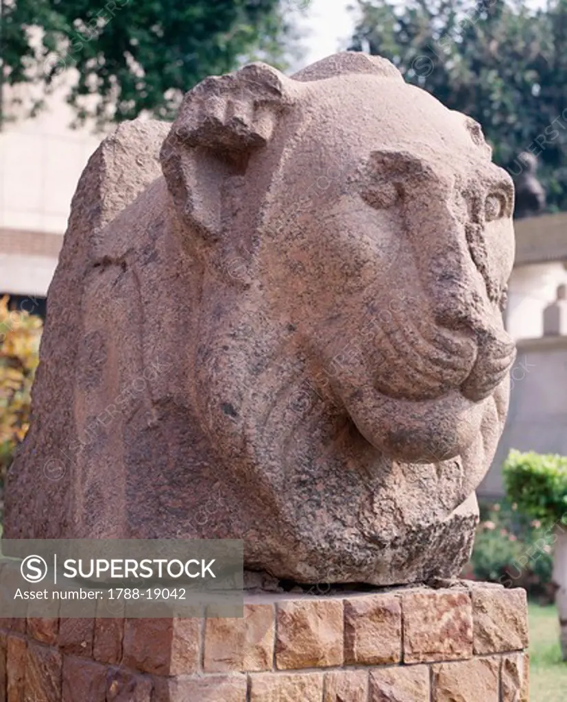 Pink Aswan granite lion's head. From the Solar Temple of Niuserre, Egypt, Abu Sir (Abusir)