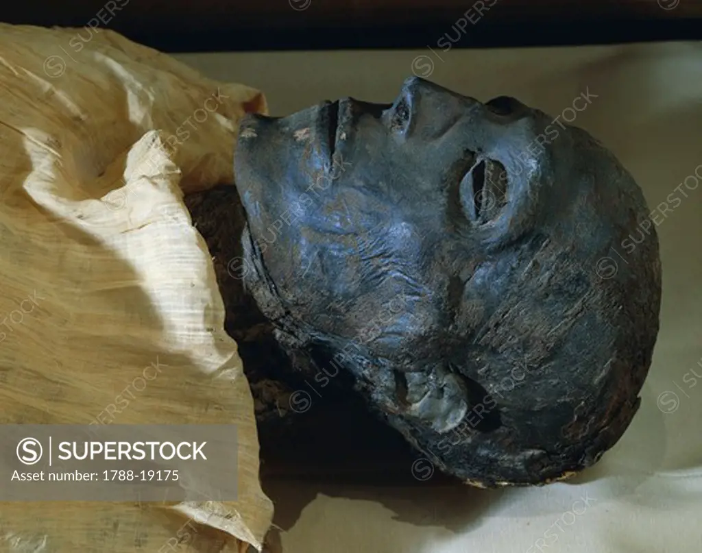 Mummy of Seti I, face detail
