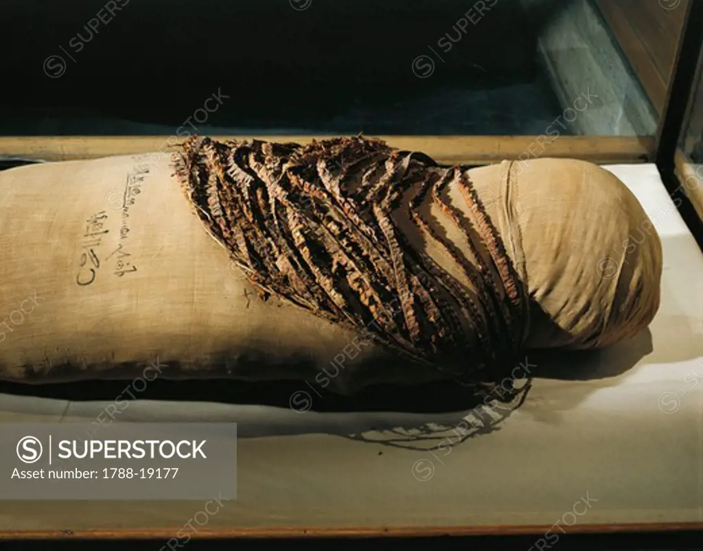Mummy of Queen Merytamun, wife of Amenhotep, wrapped in linen bandages from the Valley of the Queens