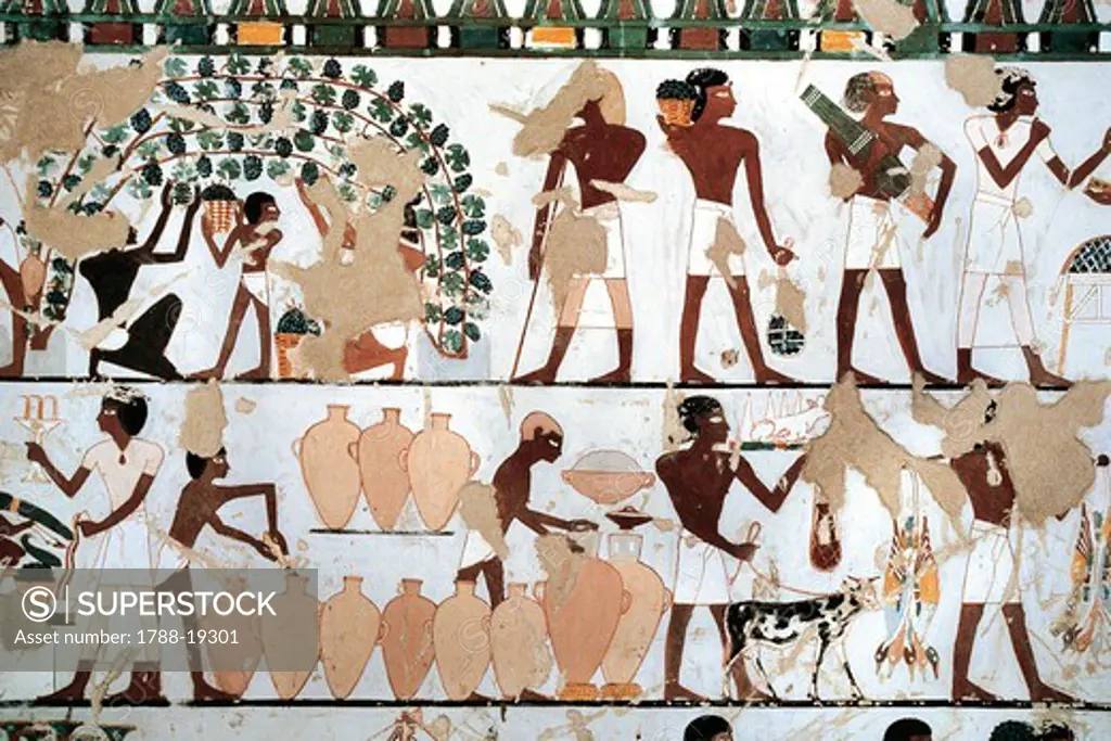 Mural painting depicting scene of grape picking and wine production, from New Kingdom