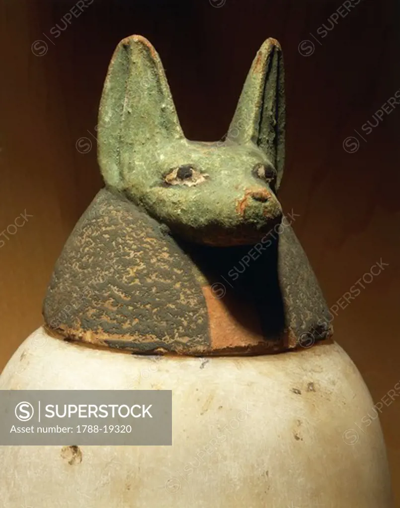 Canopic jar depicting jackal-headed Duamutef, protector of stomach