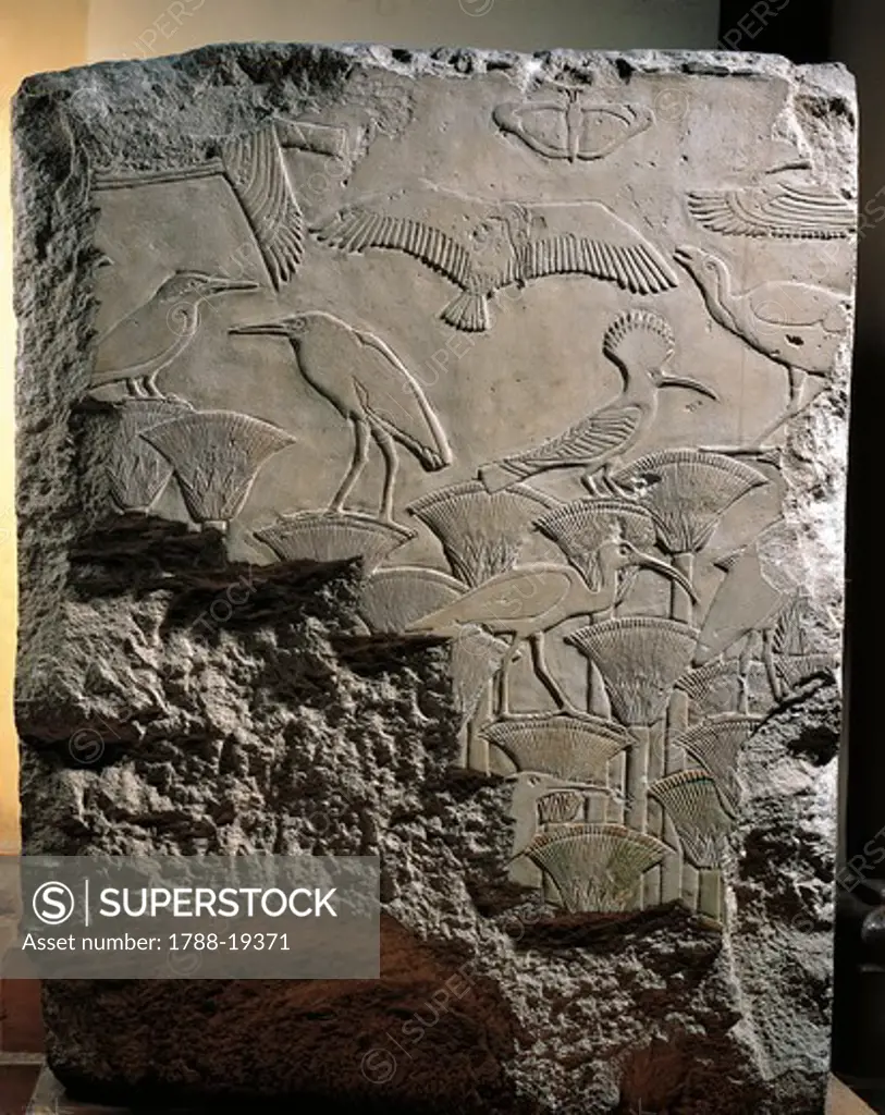 Relief depicting birds among the papyri, from funerary temple of Userkaf at Abusir