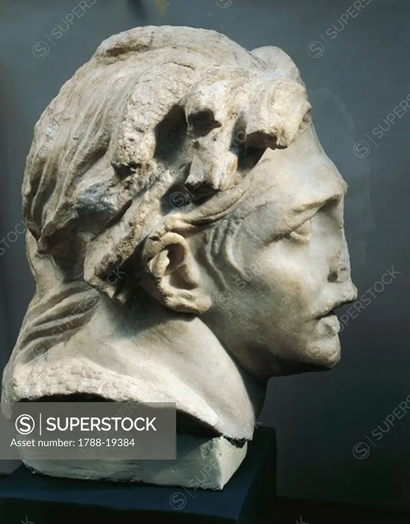 Marble head of Gaul