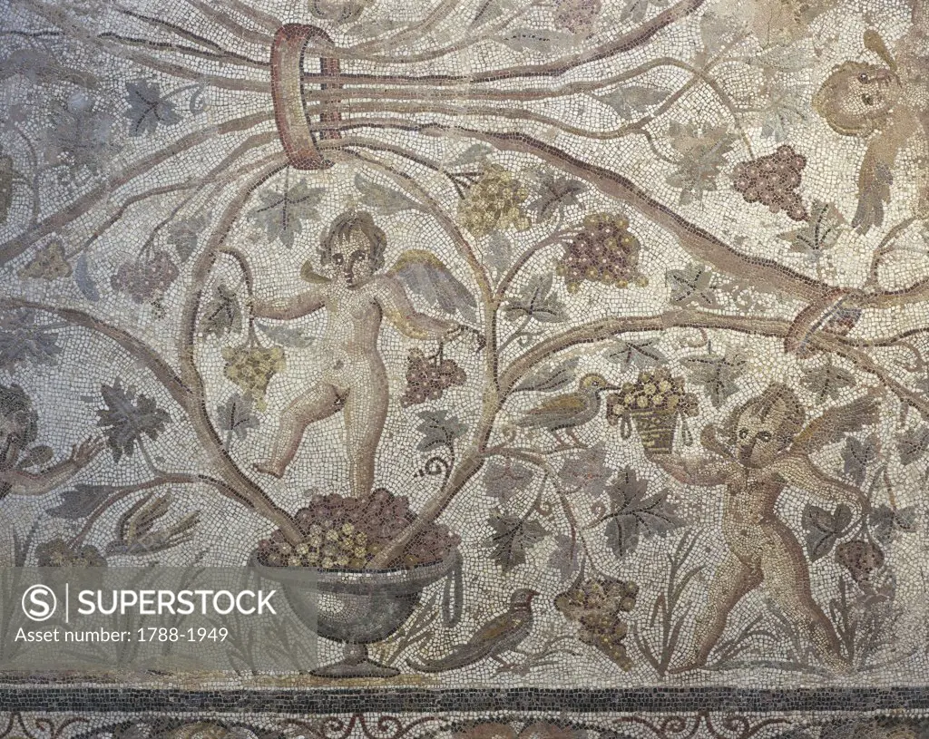 Roman Civilisation - Algeria - Imperial Age (29 b.C. - 476 A.D.). Grape harvest and cupids, mosaic