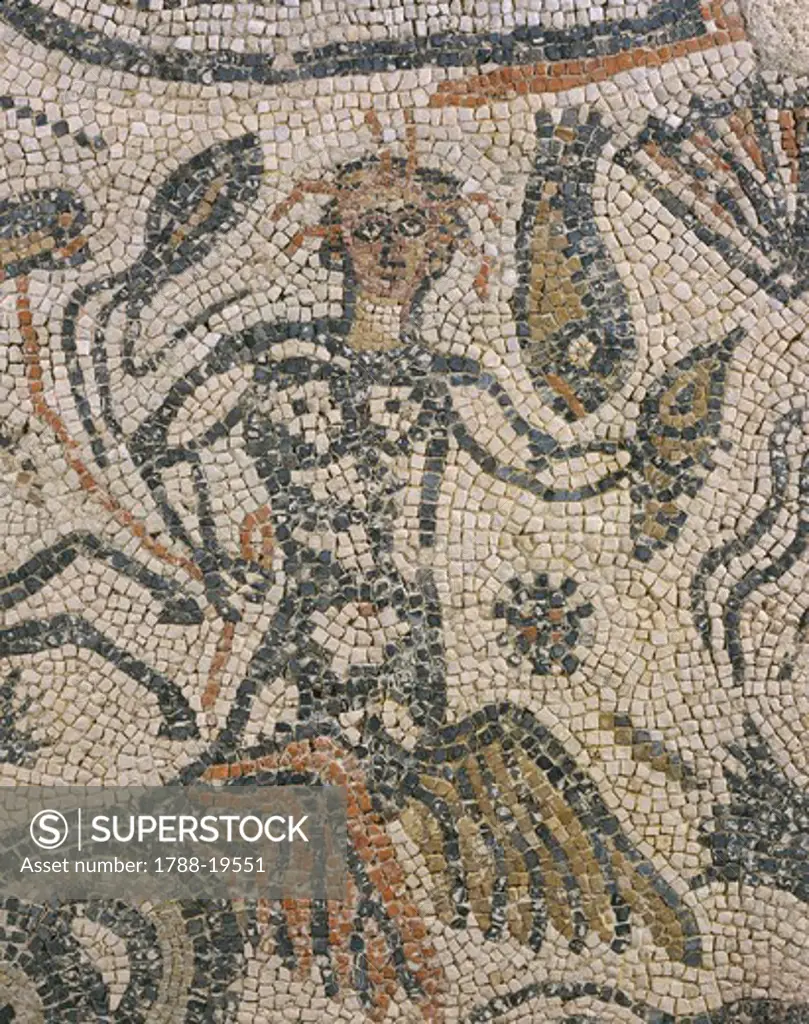 Mosaic of Triton, Detail of Triton and fish, from frigidarium of thermal baths at Banasa (Morocco)