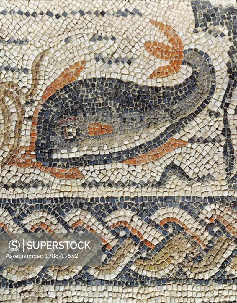 Mosaic of Triton, Detail of fish and decorative band with geometric patterns, from frigidarium of thermal baths at Banasa (Morocco)