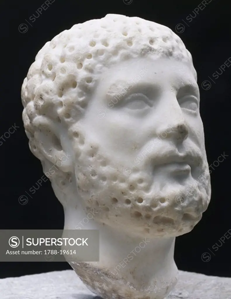 Marble head of man with beard, From Volubis, nearby Tanger Gate (Morocco)