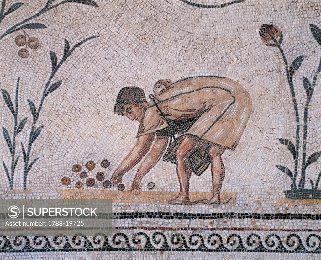Tunisia, La Chebba, Mosaic depicting boy picking fruit, from Triumph of Neptune