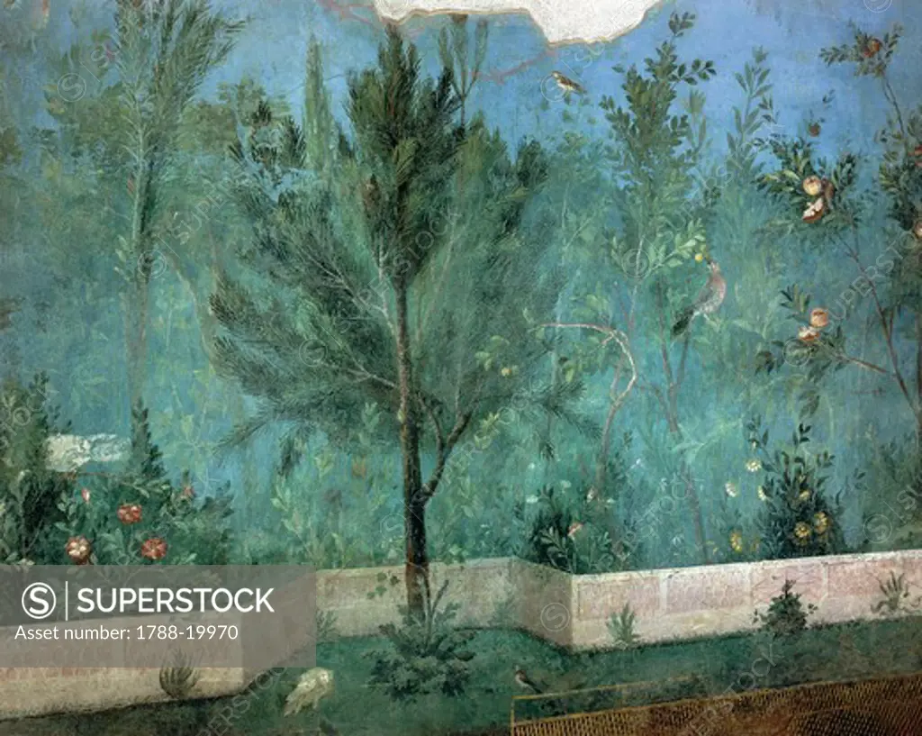 Fresco depicting garden with fruit trees and birds, detail of pine tree, from Rome, Triclinium of House of Livia