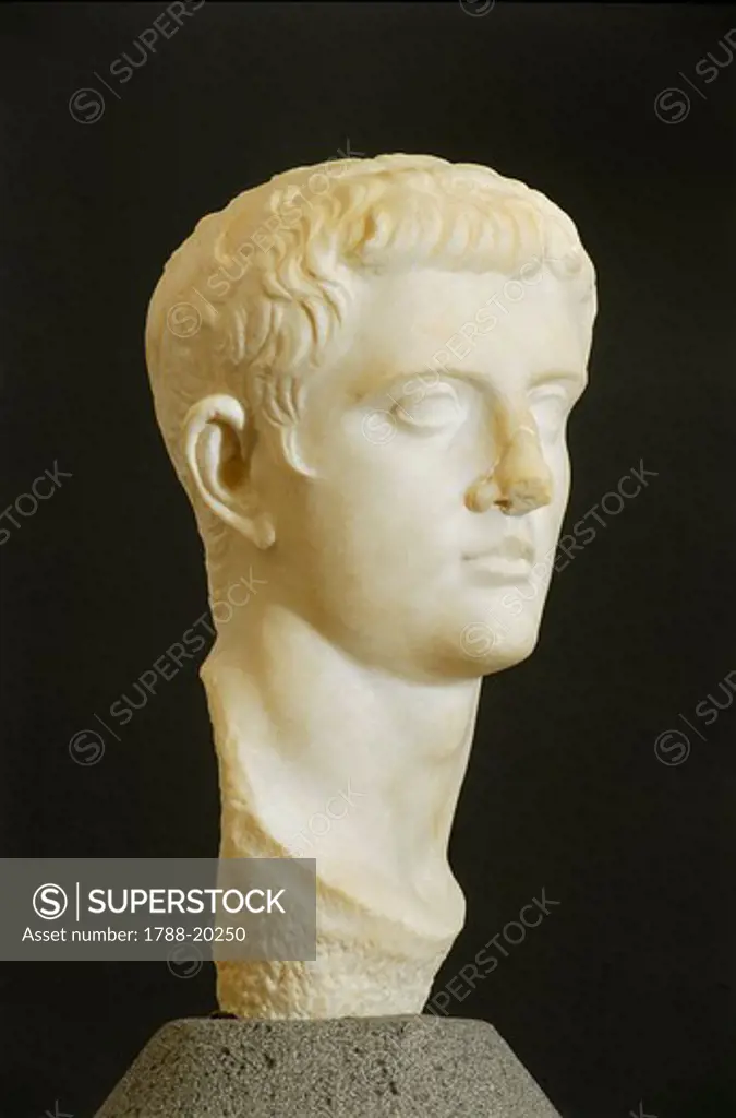 Roman civilization, Marble head of Drusus the Elder from Roselle, Augusteum, Tuscany region, Italy, 1st century a.d.