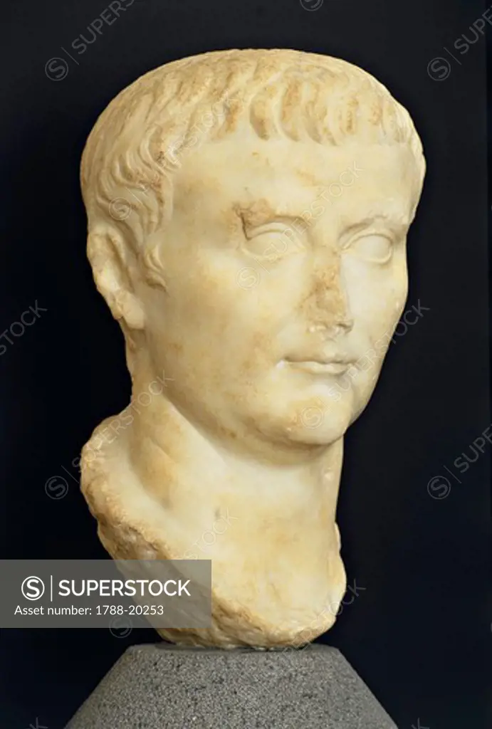 Roman civilization, Marble head of Tiberius from Roselle, Domus of the Mosaics, Tuscany region, Italy, 20 a.d.