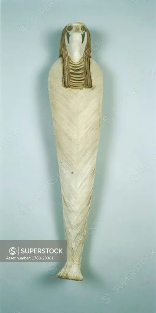 Mummy of a hawk, 1st-2nd century a.d.