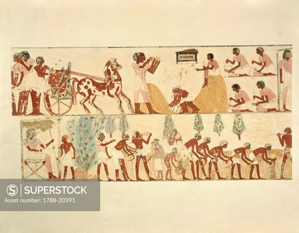 Plate, farm work, wheat harvest and scribes recording amount of crop, replica of fresco from Thebes, Tomb of Menna by Nina M. Davies (1881-1965) from ""Ancient Egyptian Painting"", Chicago, 1936