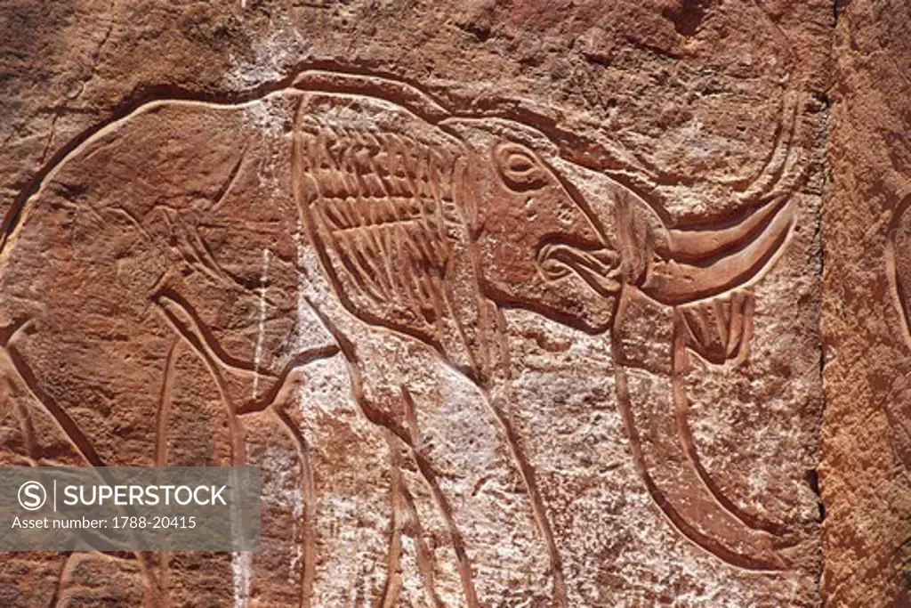 Libya, Sahara Desert, Fezzan, Rock art at Wadi Mathendush, Elephant