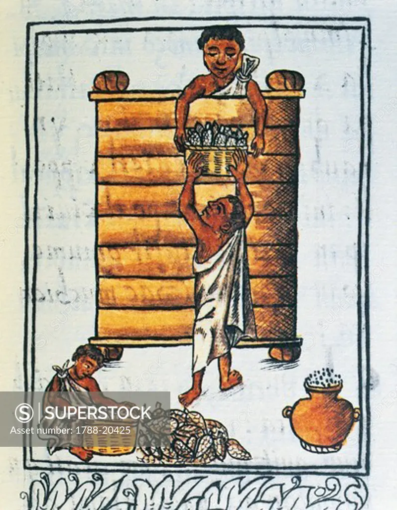 Storage of corn in the barn by Fra Bernardino de Sahagun from The Code of Florence ""Historia general de las cosas de Nueva Espana"" in Spanish and Nahuatl, facsimile, 16th century