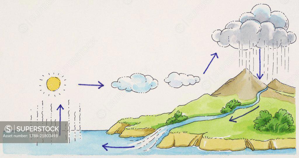 Water cycle drawing.-saigonsouth.com.vn