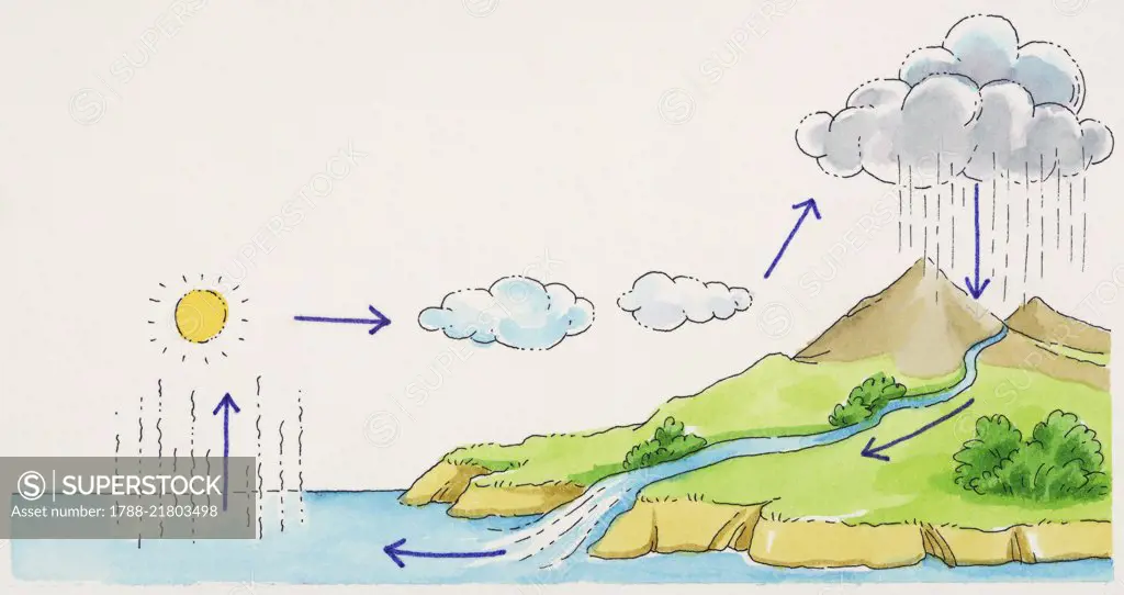 Water cycle diagram (evaporation, condensation, precipitation, runoff), drawing.