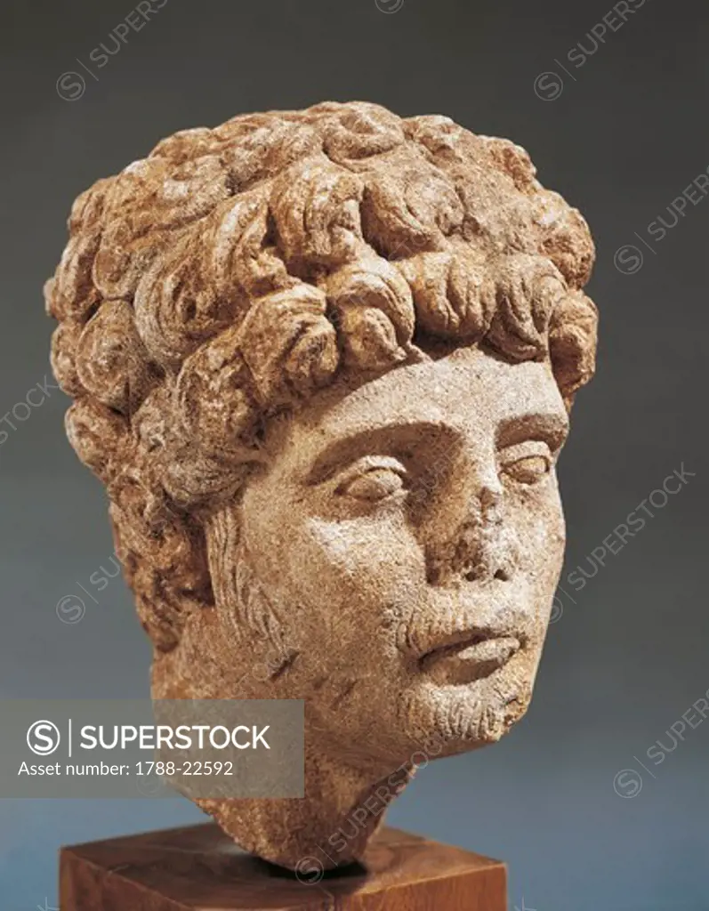 Sculpture representing a Gaul head