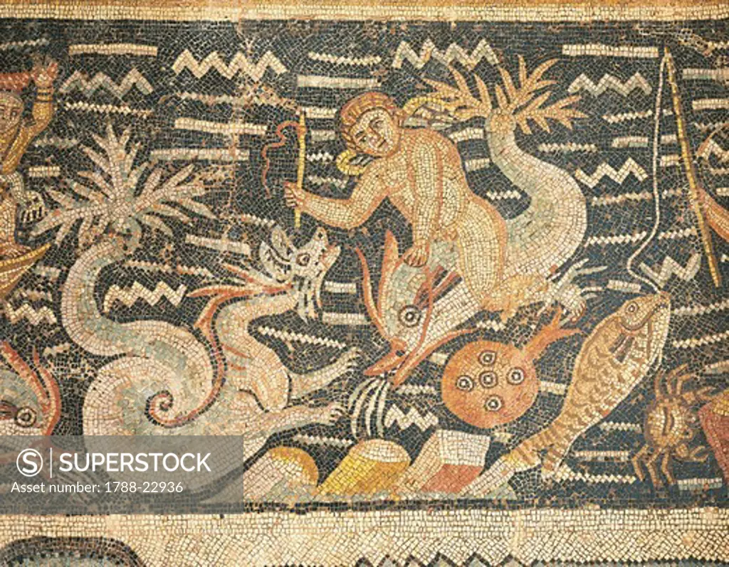 Algeria, Djemila, Detail of boy riding a dolphin in Mosaic work depicting Venus at her toilet