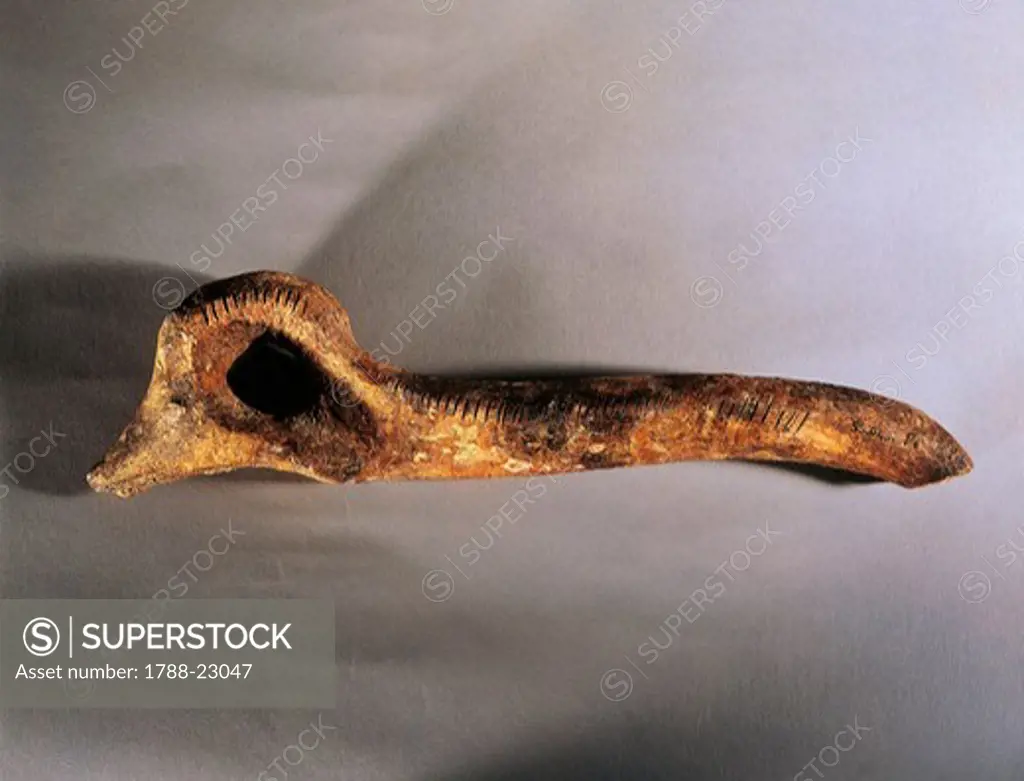 France, perforated reindeer horn tool carved into the shape of fox's head, from Le Placard