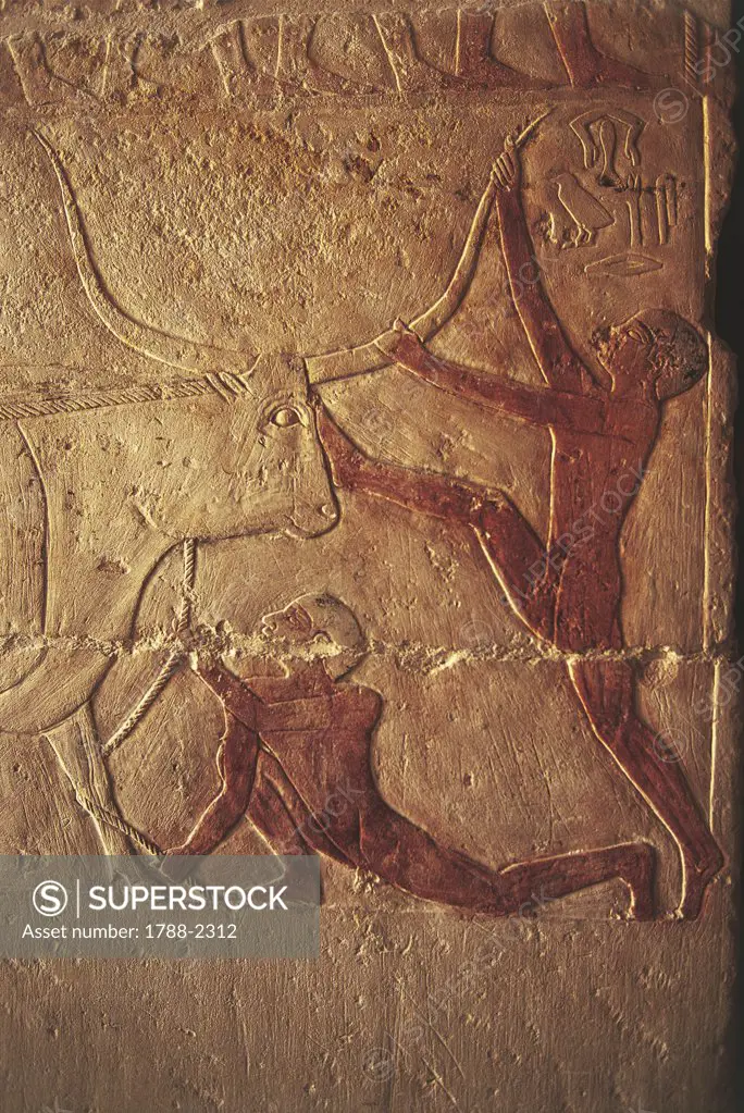 Egypt - Cairo - Ancient Memphis (UNESCO World Heritage List, 1979). Saqqara. Necropolis. Private funerary mastaba of Ra priests 'twin brothers' Niankhkhnum and Khnumhotep. Painted relief