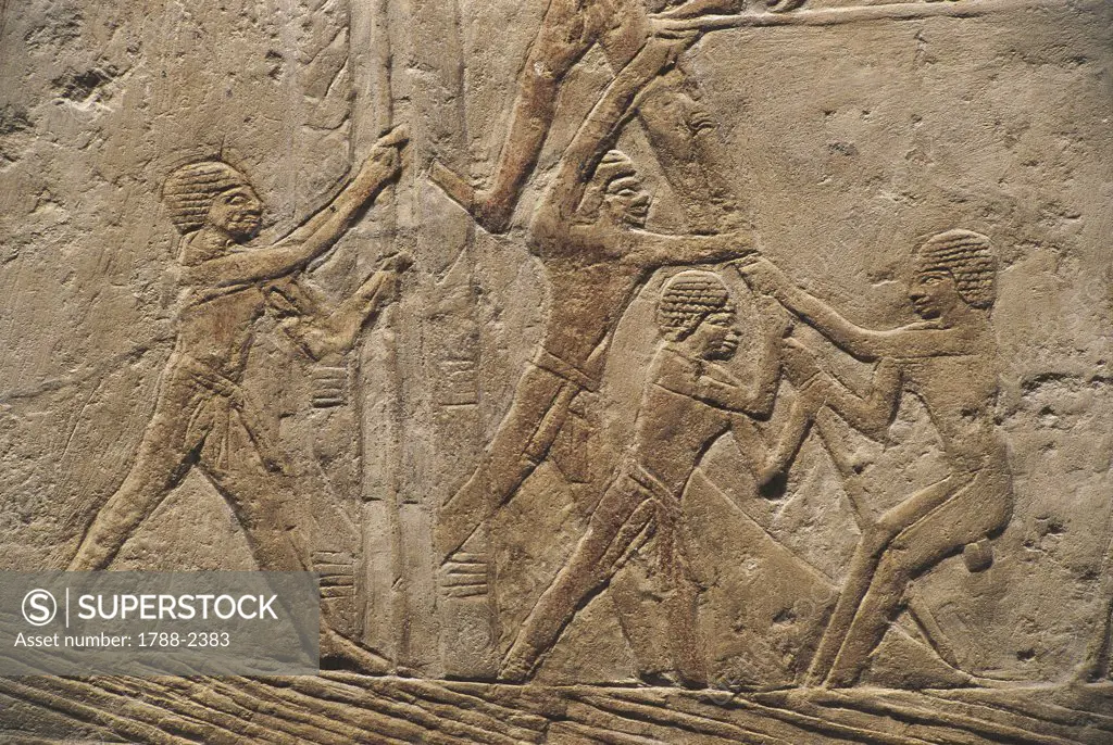 Egypt - Cairo - Ancient Memphis (UNESCO World Heritage List, 1979). Saqqara. Necropolis. Private funerary mastaba of Mereruka, 6th Dynasty, 2349 BC. Relief of men hoisting mast