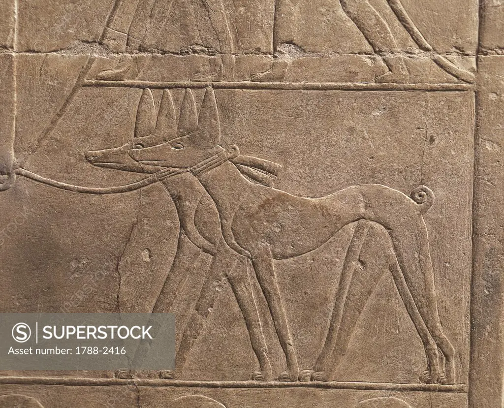 Egypt - Cairo - Ancient Memphis (UNESCO World Heritage List, 1979). Saqqara. Necropolis. Private funerary mastaba of Mereruka, 6th Dynasty, 2349 BC. Relief of greyhounds