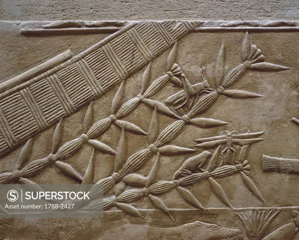 Egypt - Cairo - Ancient Memphis (UNESCO World Heritage List, 1979). Saqqara. Necropolis. Private funerary mastaba of Kagemni. Old Kingdom, 6th Dynasty. Great Hall. Relief of hunting scene. Detail of marshland wildlife