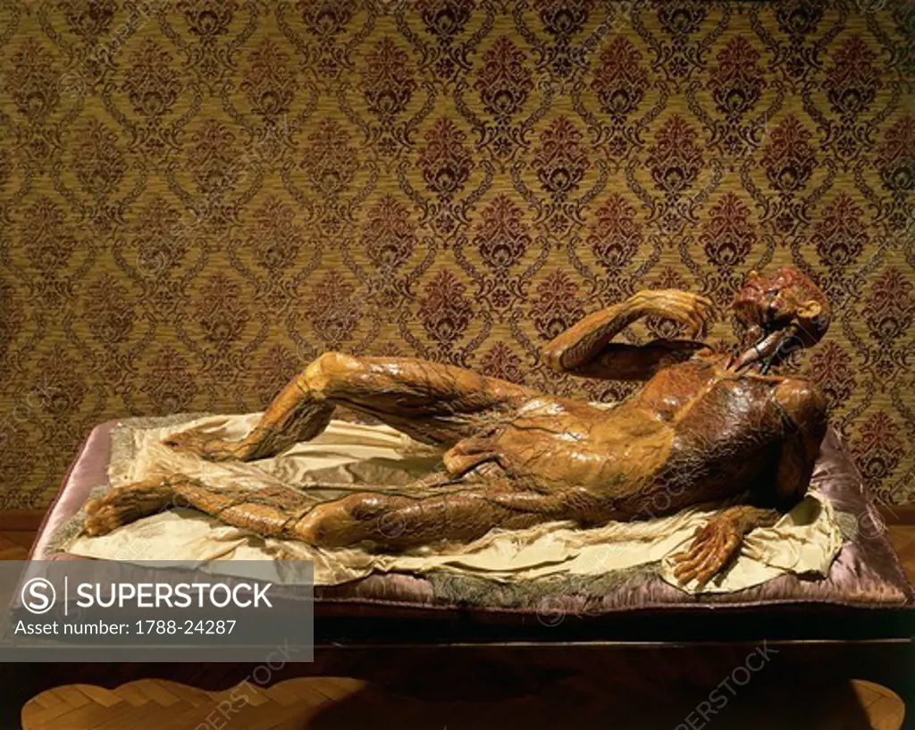 Italy, Florence, Lo spellato, The Skinned Man, wax anatomical model