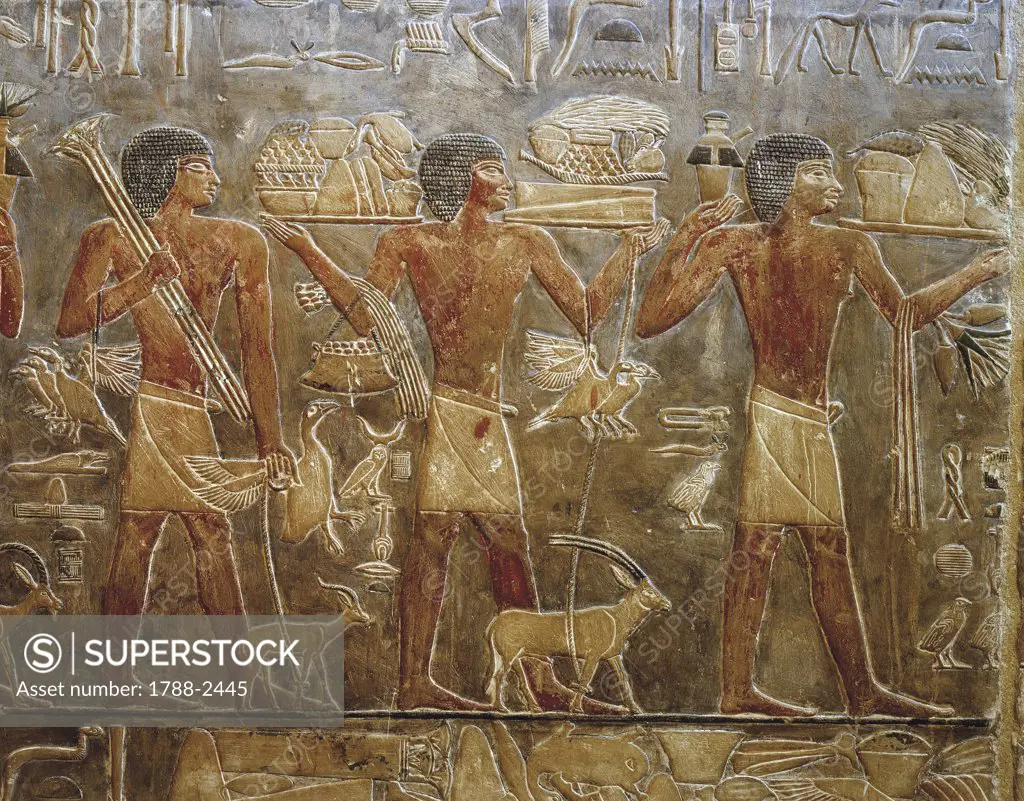 Egypt - Cairo - Ancient Memphis (UNESCO World Heritage List, 1979). Saqqara. Necropolis. Private funerary mastaba of vizier Ptahhotep. Old Kingdom, 5th Dynasty. Painted relief of offer bearers